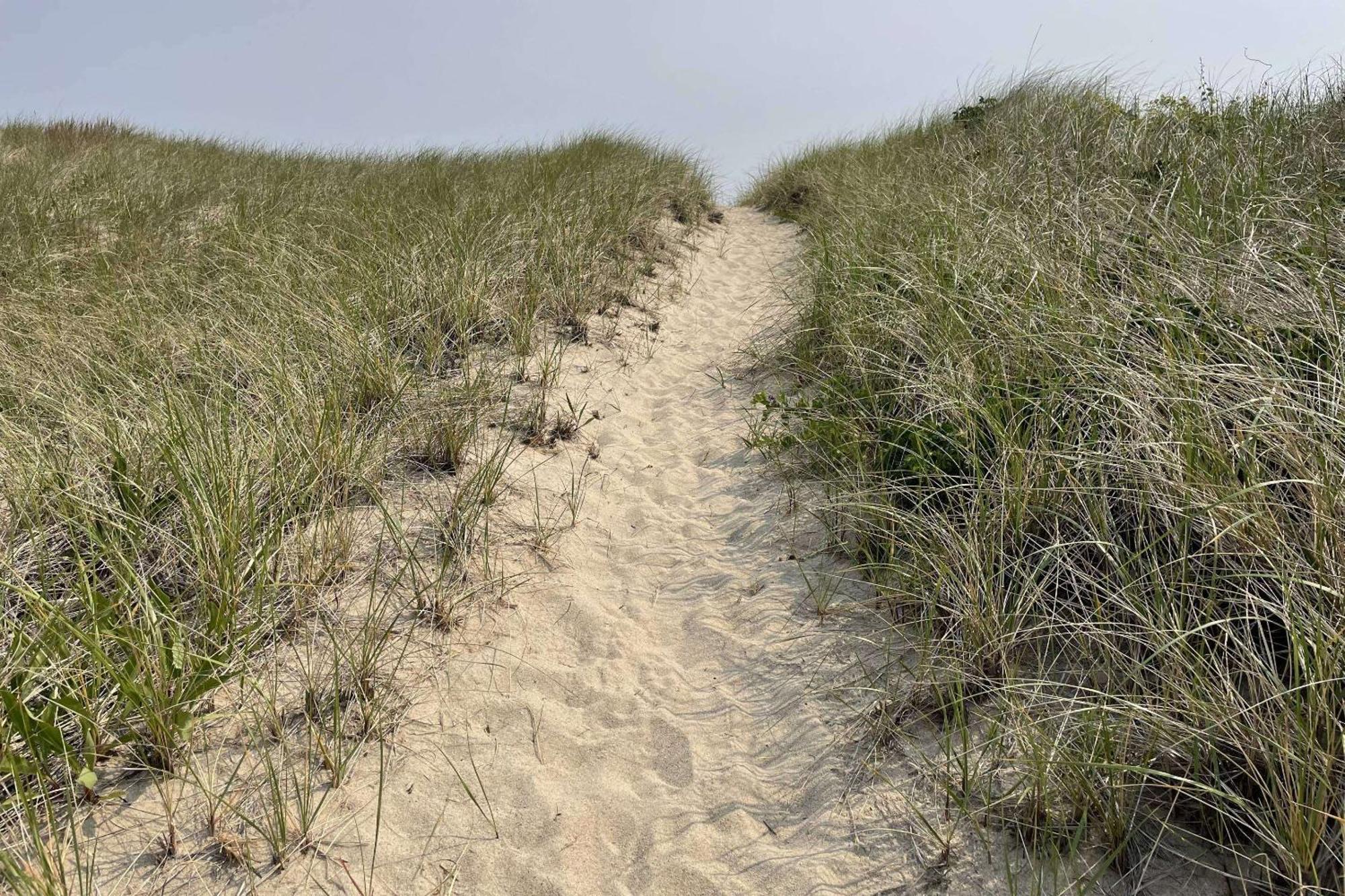 Sandy Clydesdale: Sagamore Beach Sandwich Villa Luaran gambar